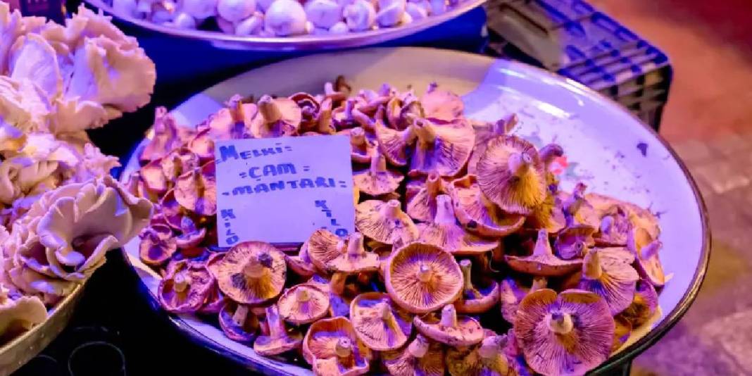 Yağmur gelince fiyatlar düştü! 3 kat ucuza alım fırsatı: Yol kenarında satılıyor, fiyatı 300 TL’den 100’e düşüyor 4